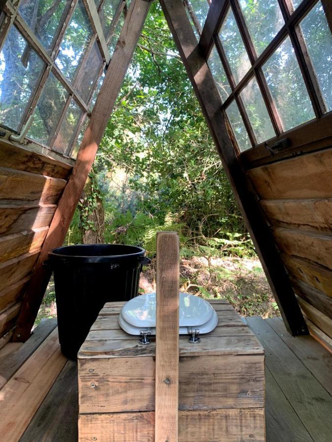 Magic Roof Top Bus With Big Bath In The Tree Forest! Mimizan-Plage Buitenkant foto